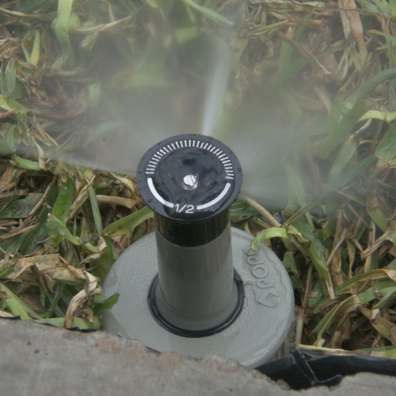 Pope 50mm 1/2 Circle Pop-Up Sprinkler - Image 4 of 5
