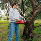 0619454-Additional Image_1719898862275