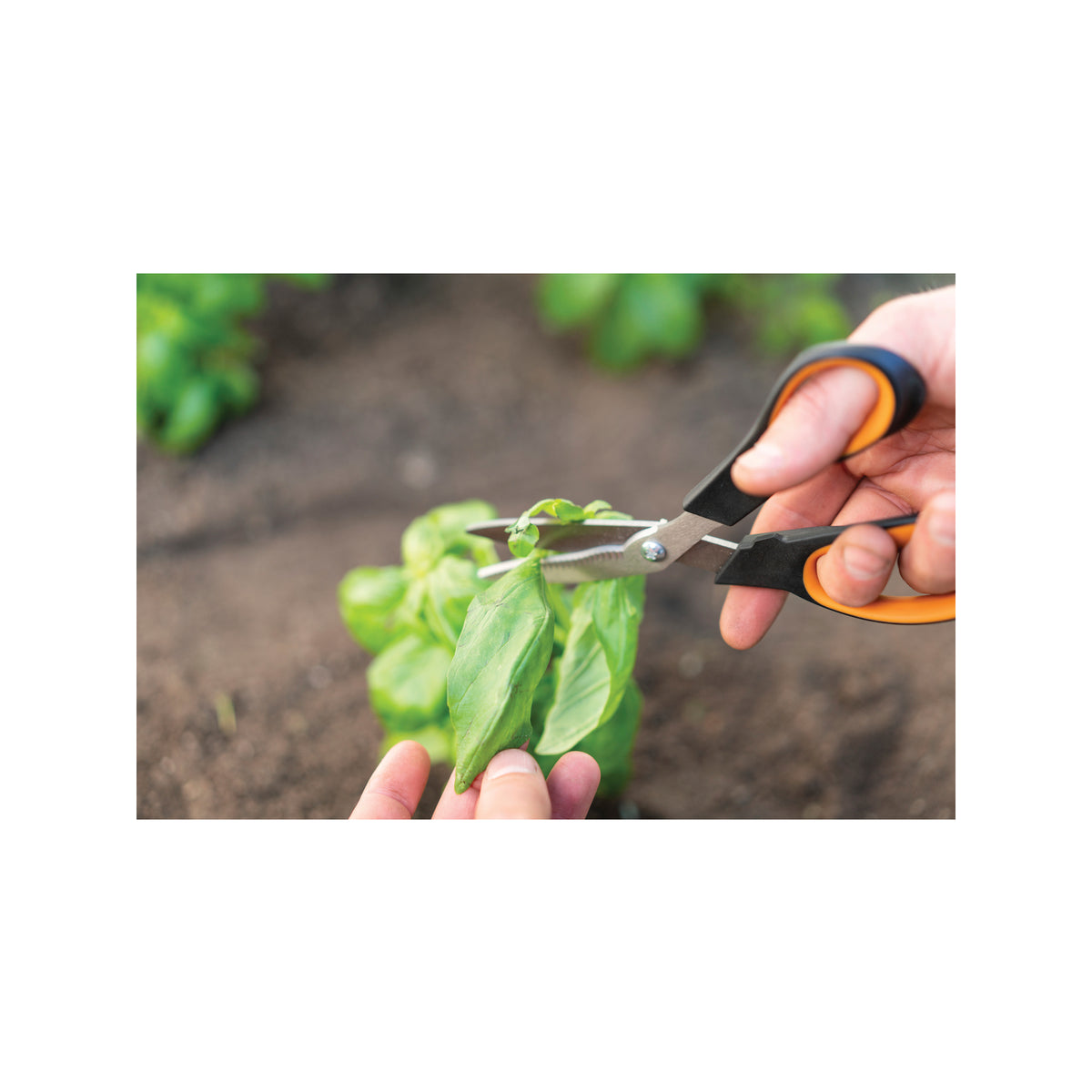 Fiskars Garden Scissors Solid Vegetable Sheers SP240 - Image 5 of 5