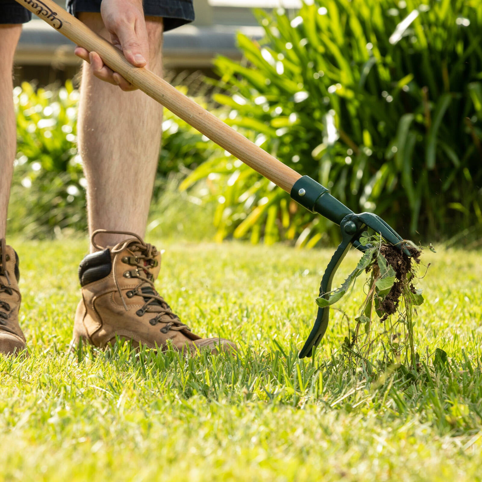 Cyclone Stand-up Weeder Timber Handle - Image 4 of 5