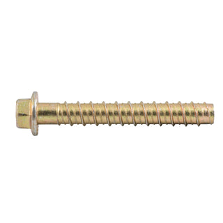 Ramset 12 x 100mm Zinc AnkaScrew Masonry Anchor - 10 Pack