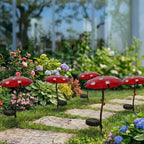 0269704-Additional Image_1769581856482