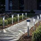 0263567-Additional Image_1769572652403