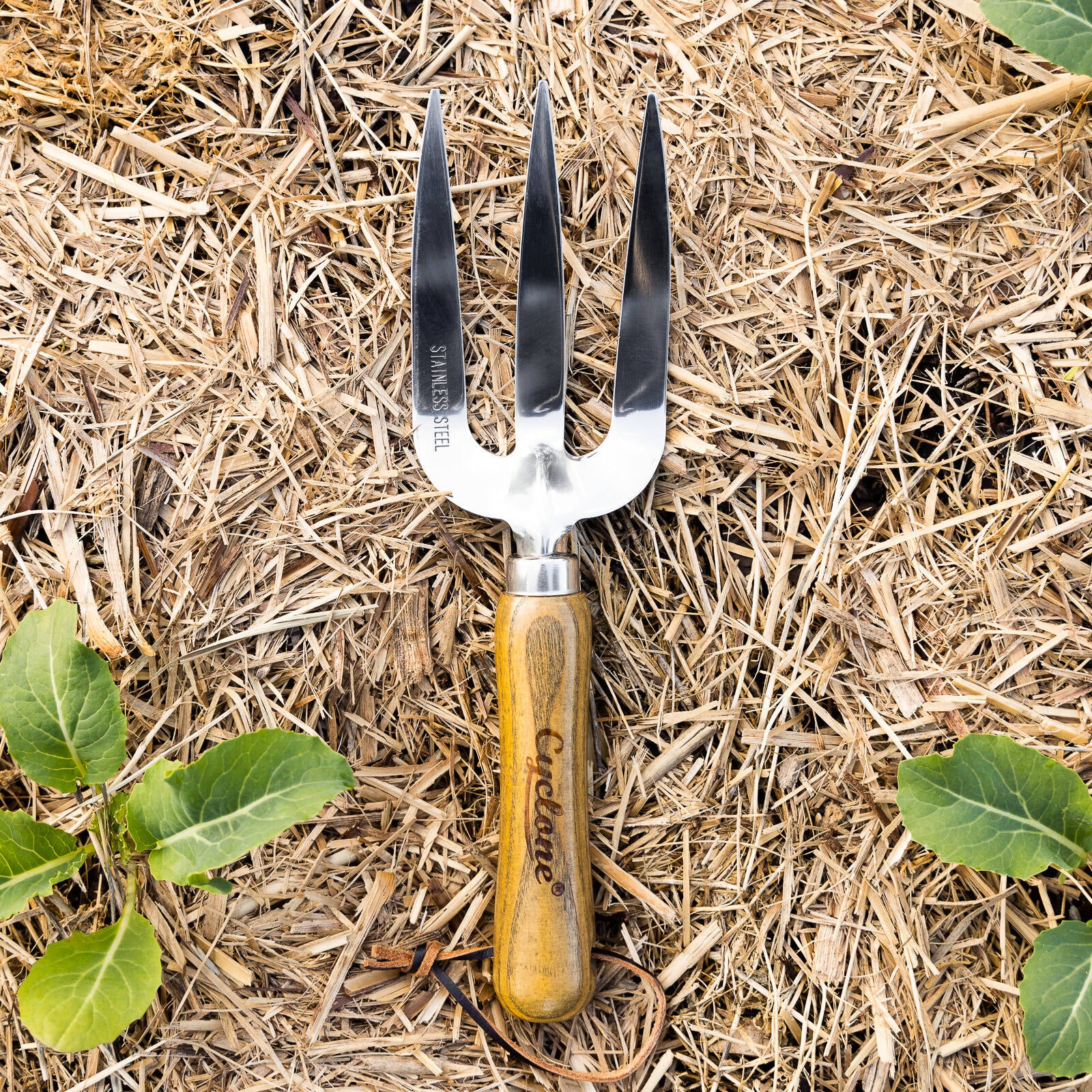 Cyclone Stainless Steel Fork Hand Tool - Image 3 of 3
