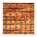 Lytworx Curtain Vine Lights - Image 2 of 2