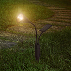 Item 0266513-2_1622786960020