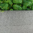 0206139-Additional Image_1694129647498