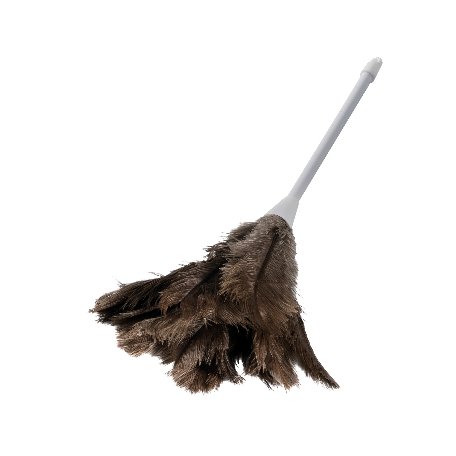 Oates_168410_Feather_Duster_1629875716056