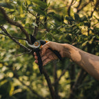 Fiskars M P321 Solid Bypass Pruner - Image 4 of 4
