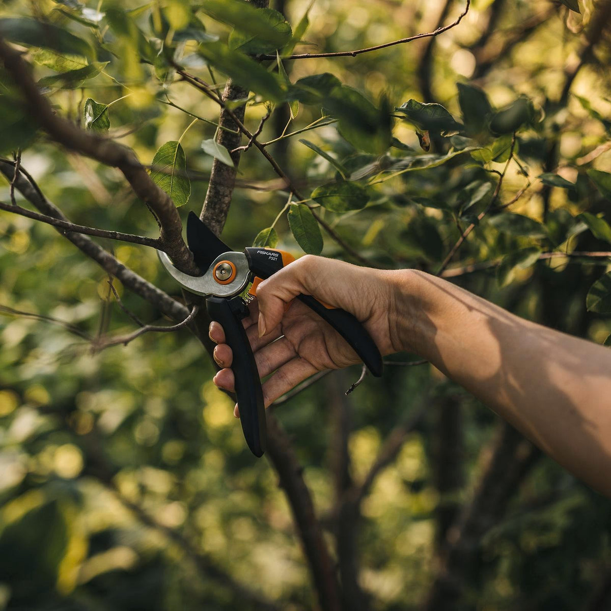 Fiskars M P321 Solid Bypass Pruner - Image 4 of 4
