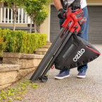 0619448-Additional Image_1715817191655