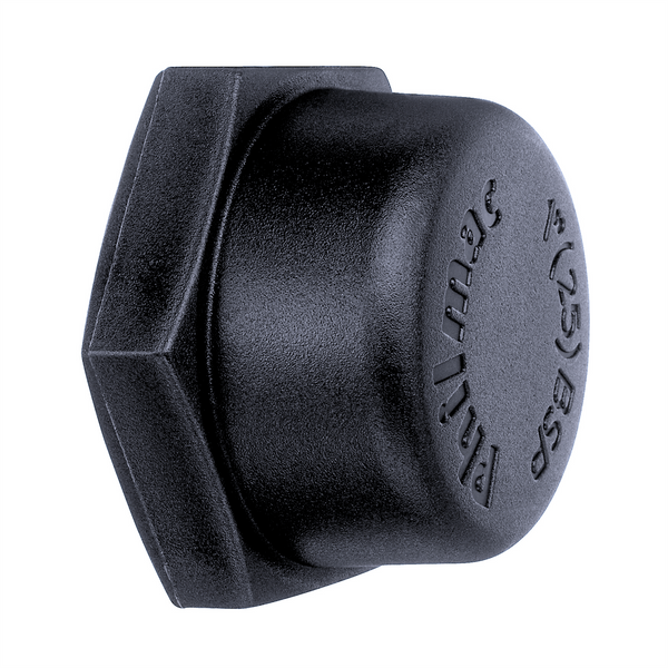 Philmac 2" BSP Thread Pipe Cap