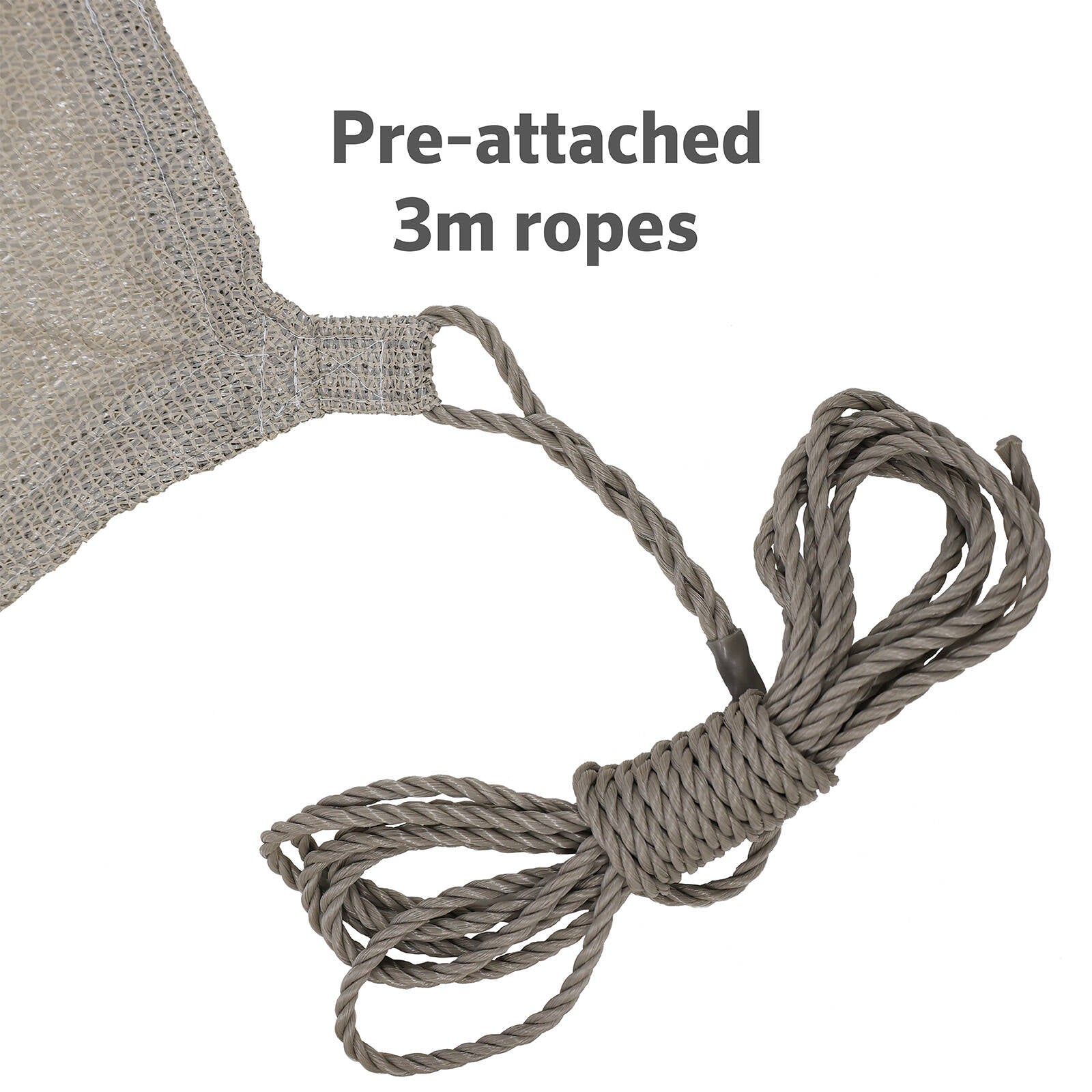 0369896-Additional Image_1732155158494