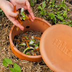 Backyard Farmer 1.1L Archie In-Ground Terracotta Worm Farm - Image 4 of 7