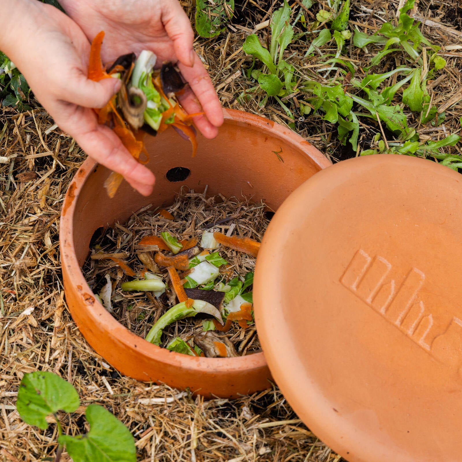 Backyard Farmer 1.1L Archie In-Ground Terracotta Worm Farm - Image 4 of 7