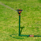 3110597-Additional Image_1730418381289