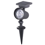 0181785-Key Image