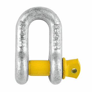 Pinnacle 13mm Galvanised D Shackle