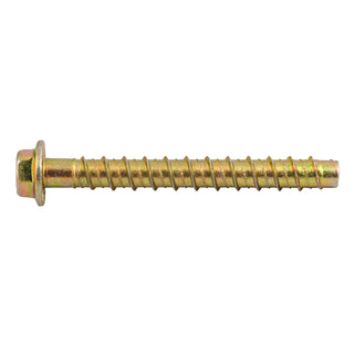 Ramset 10 x 100mm Zinc AnkaScrew Masonry Anchor