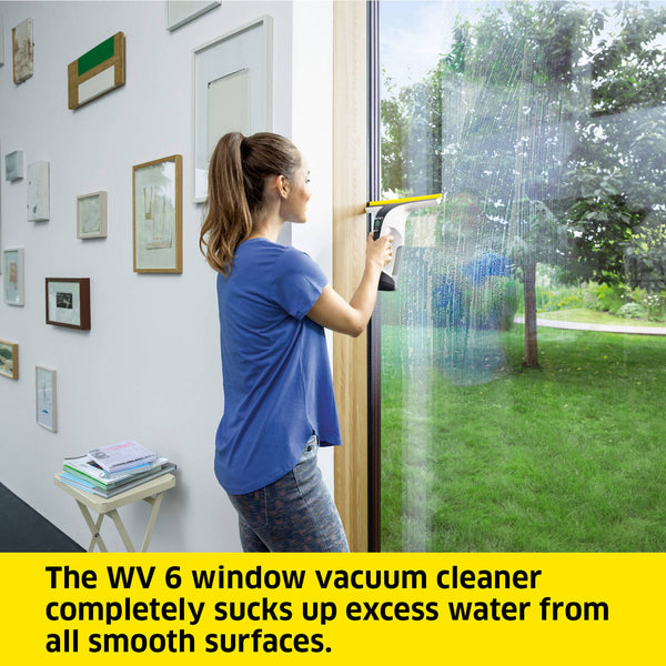 Kärcher WV 6 Plus Window Vac