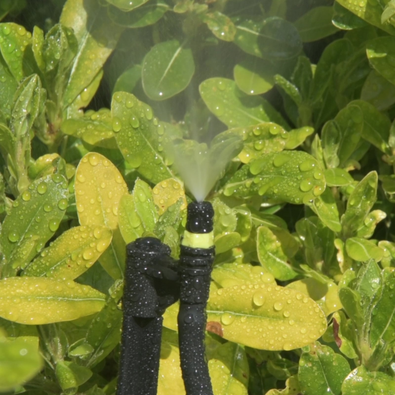 Pope Micro Jet Mist Spray - 10 Pack - Image 3 of 4