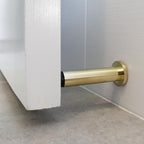 T1006_insitu.jpg