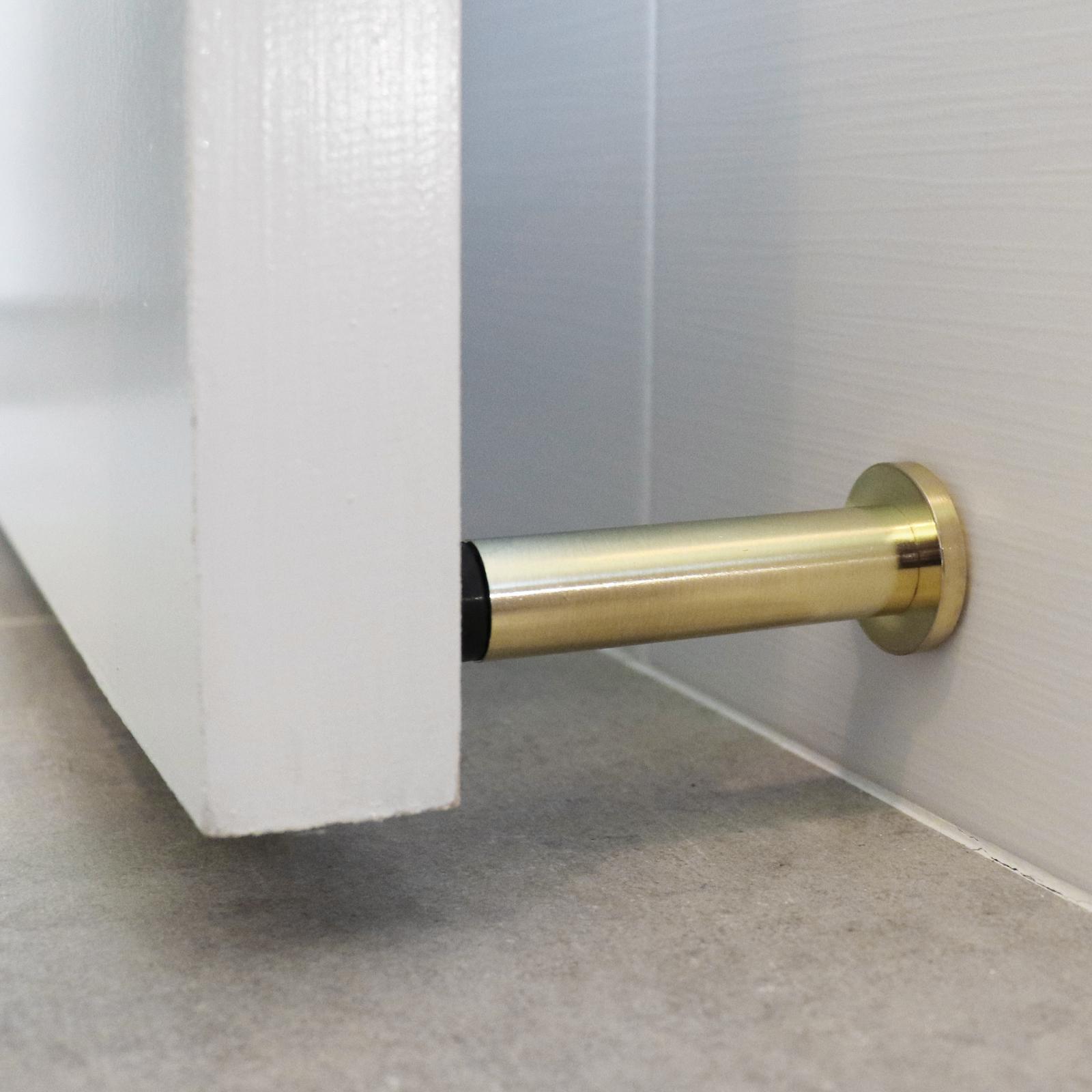 T1006_insitu.jpg