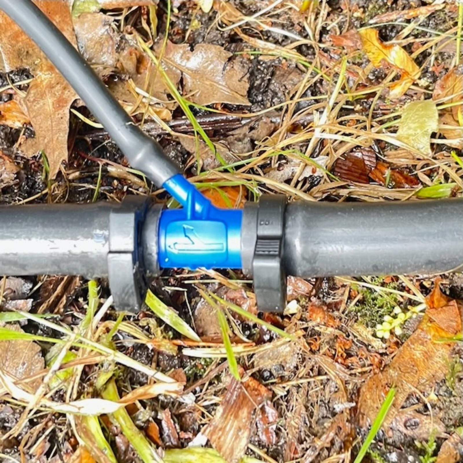 0668189-Additional Image
