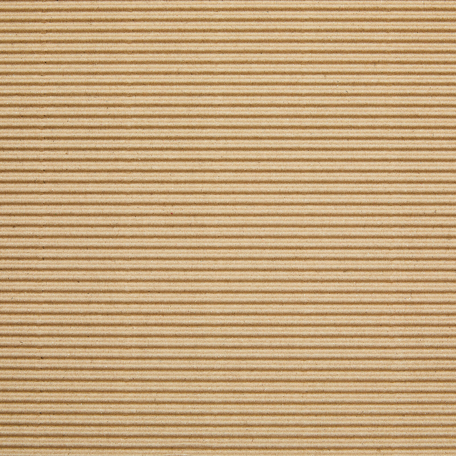 2610060-Additional Image