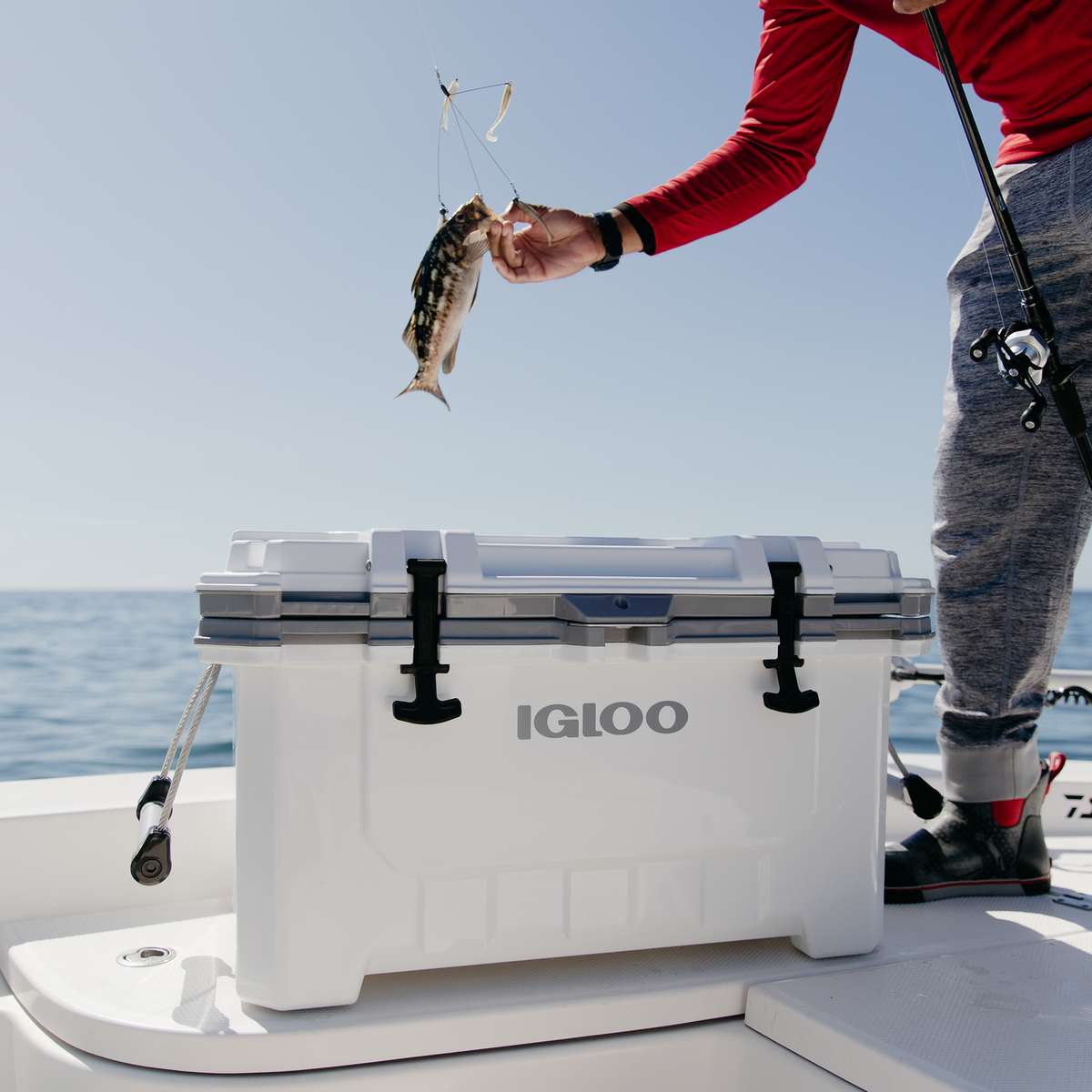 IGLOO 66L White IMX Cooler - Image 5 of 11