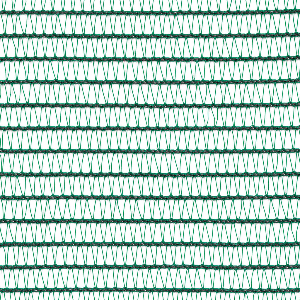 0214205-Additional Image_1728027715679