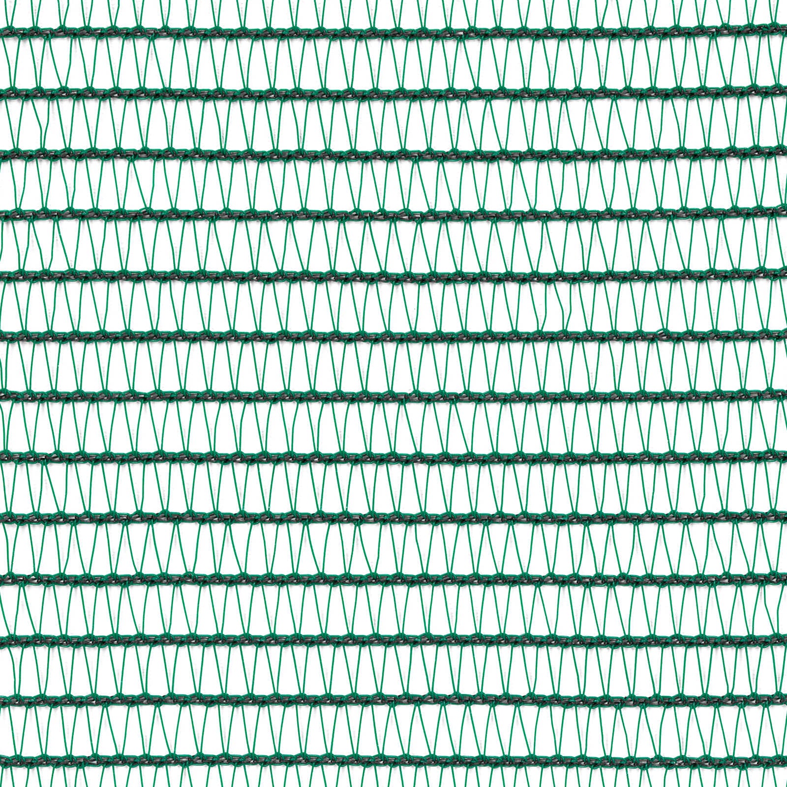 0214205-Additional Image_1728027715679