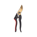 0246331_KeyImage