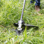 0469581-Additional Image_1760346801342