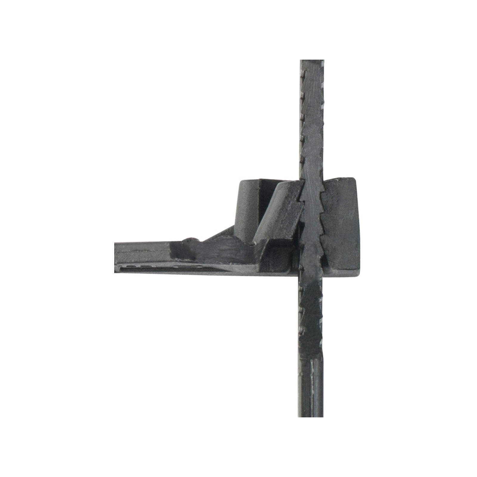 0392215-Additional Image