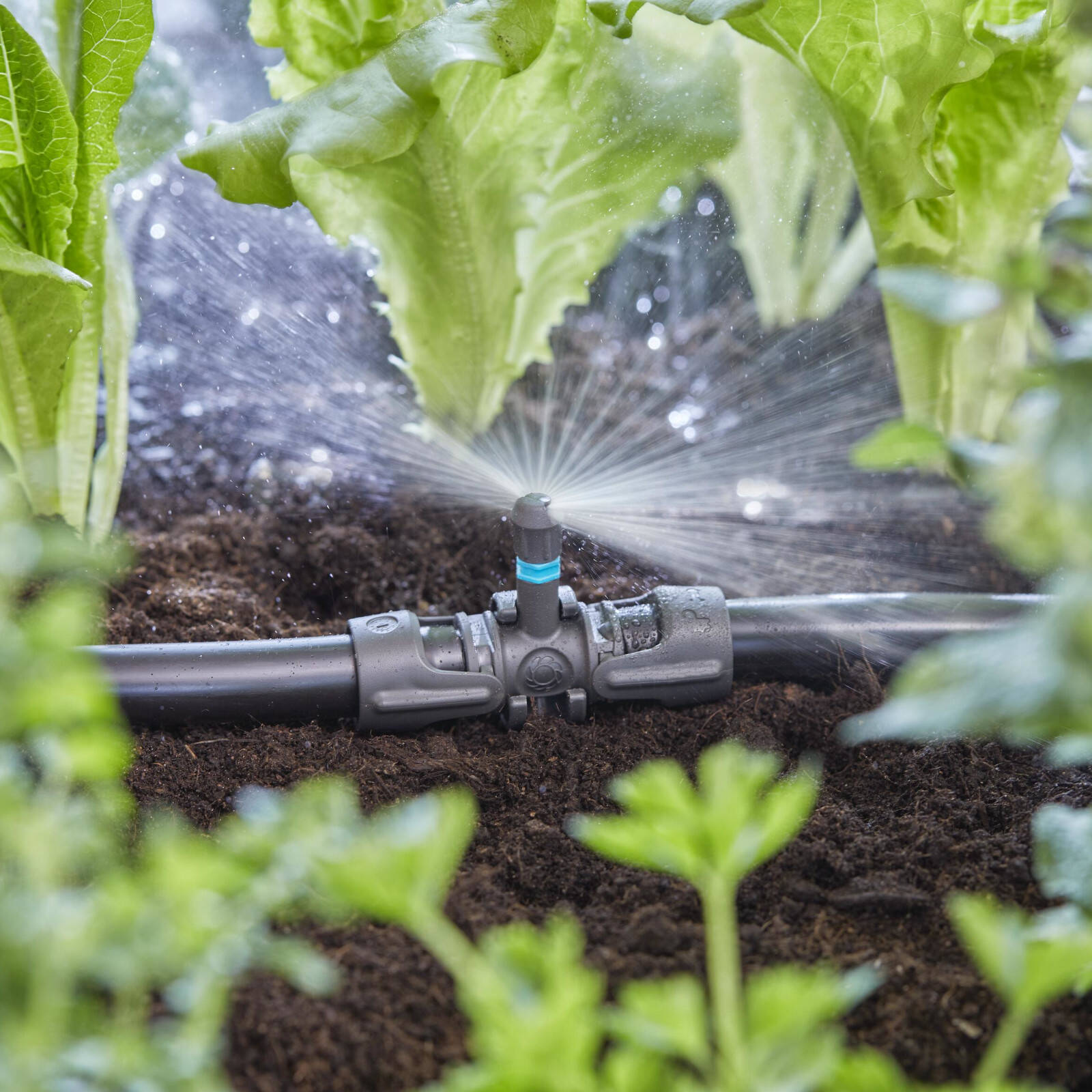 GARDENA 13mm Micro Irrigation T-Joint for Spray Nozzles - 5 Pack - Image 7 of 9