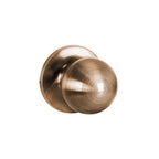 0833891-Additional Image-1_1755001506009