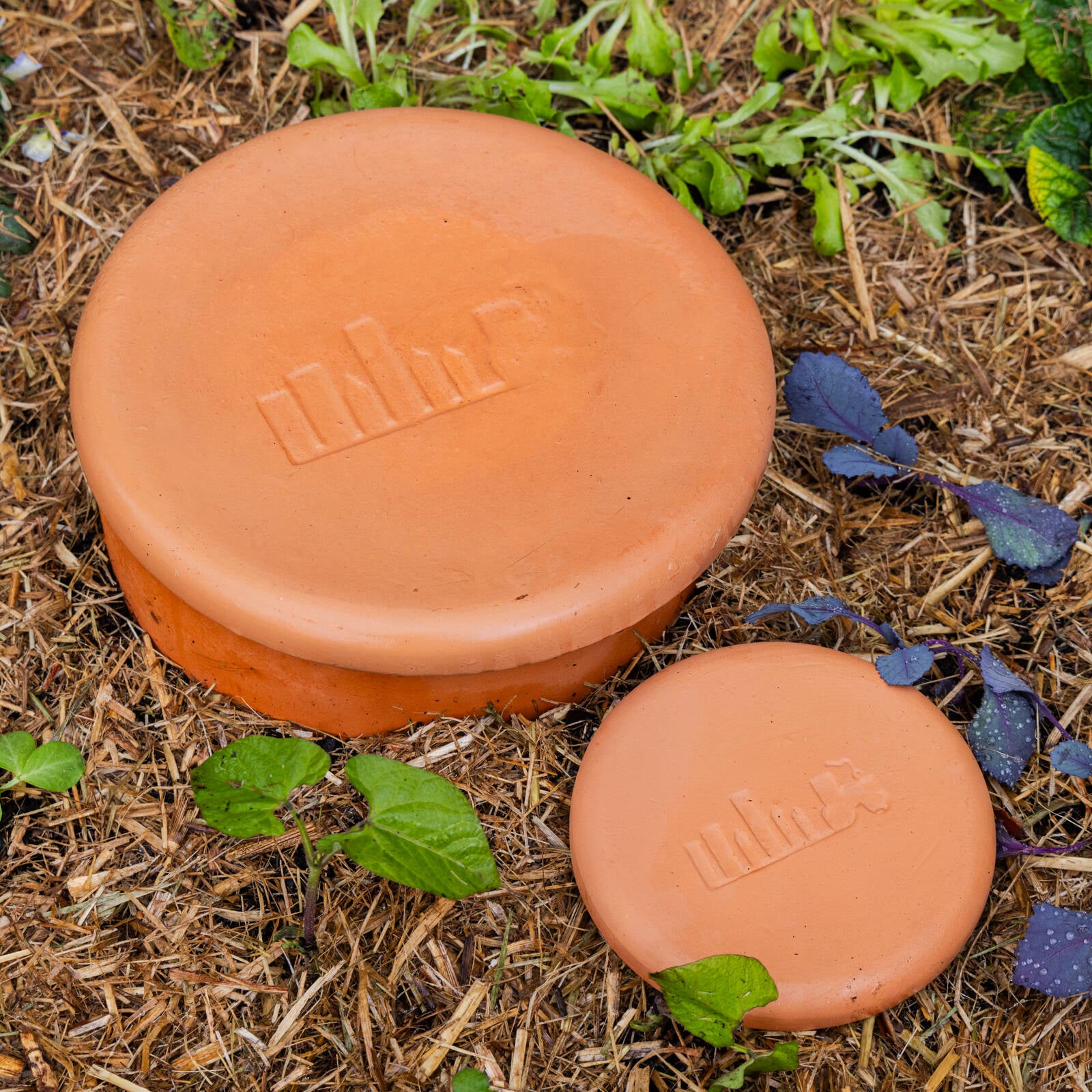 Backyard Farmer 6.5L Archie In-Ground Terracotta Worm Farm - Image 4 of 4