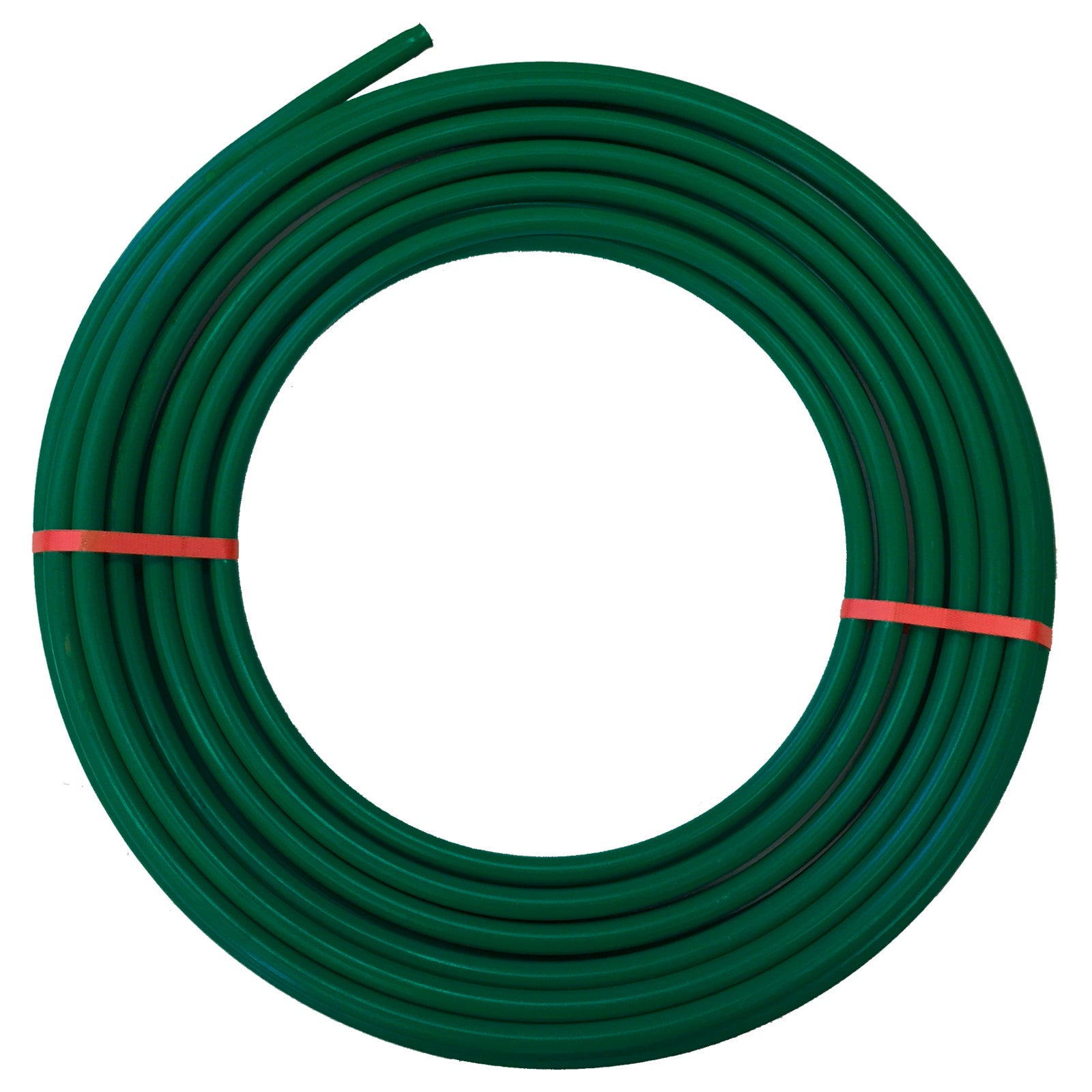 4910025-1600, 1600482f57ea-6b67-42c6-ae07-dd0e21afd921.jpg