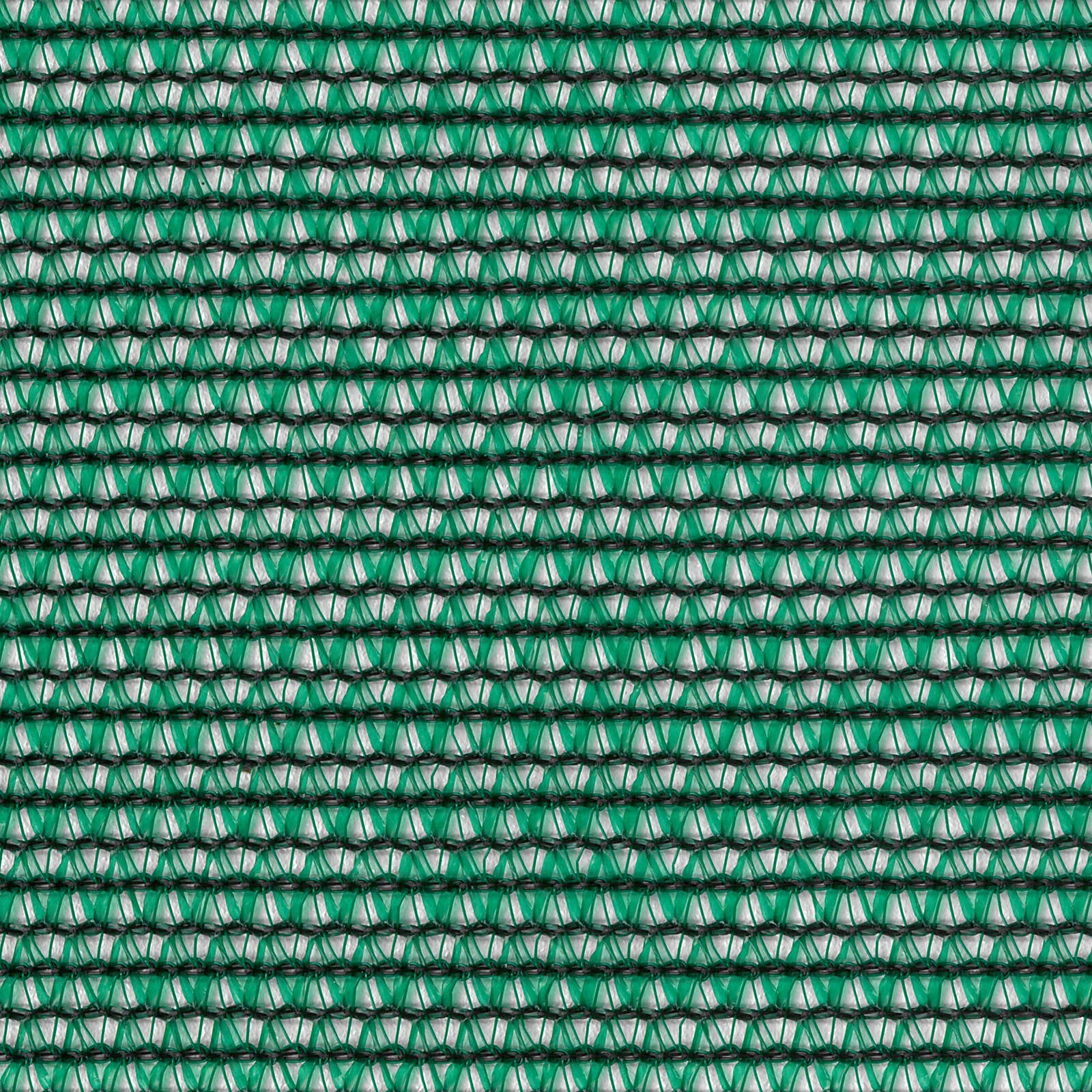 0118954-Additional Image_1728027173006