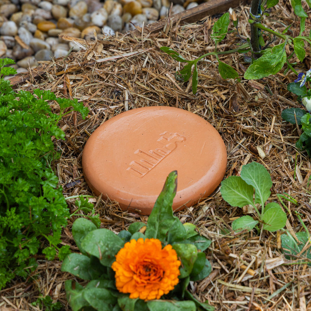 Backyard Farmer 1.1L Archie In-Ground Terracotta Worm Farm - Image 5 of 7
